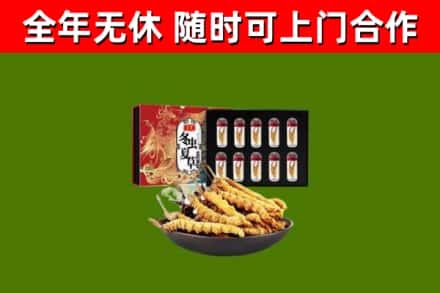 吴川烟酒回收冬虫夏草礼盒.jpg