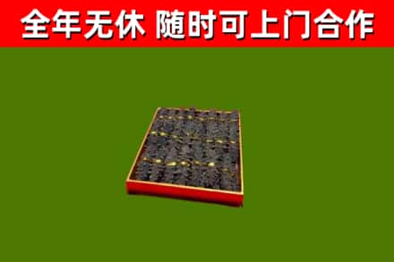 吴川回收海参